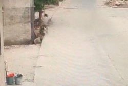 今日揭西爆料视频最新,最新视频揭露惊人真相，引发网友热议！